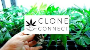 Clone Connect