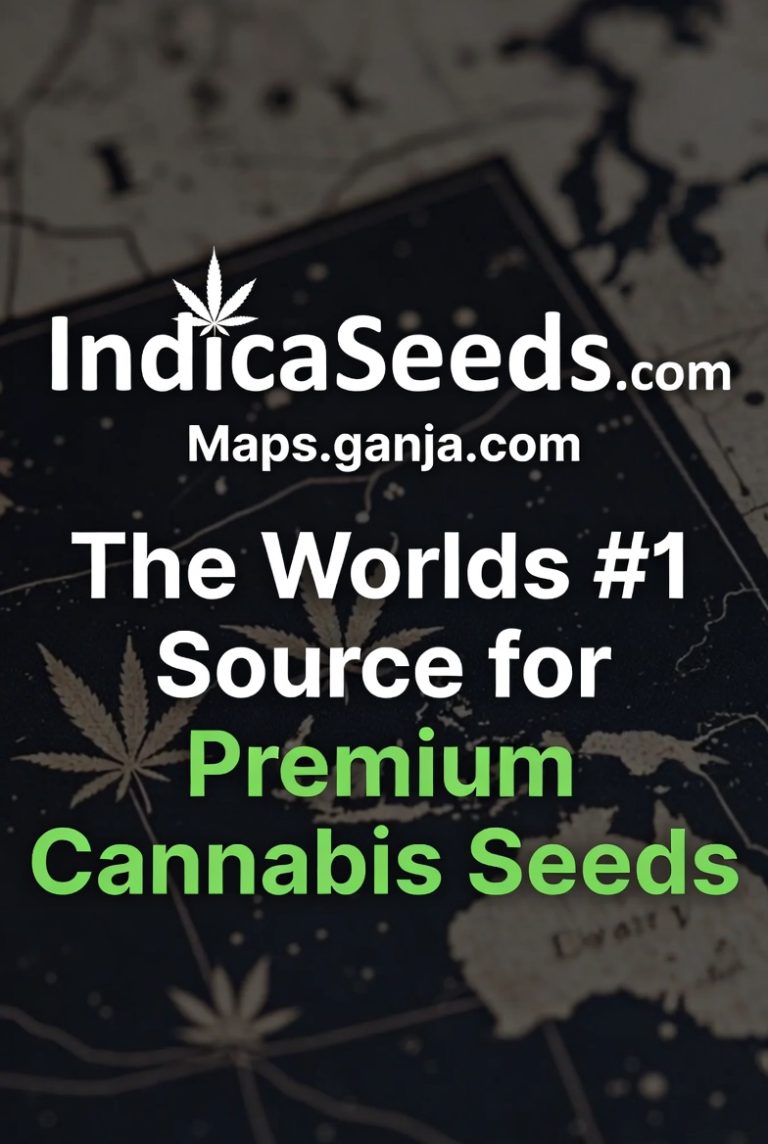 indicaseedscom jpg 768x1144