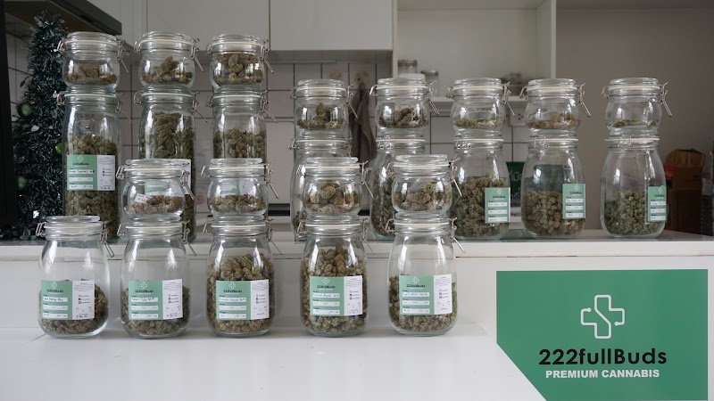 222fullBuds