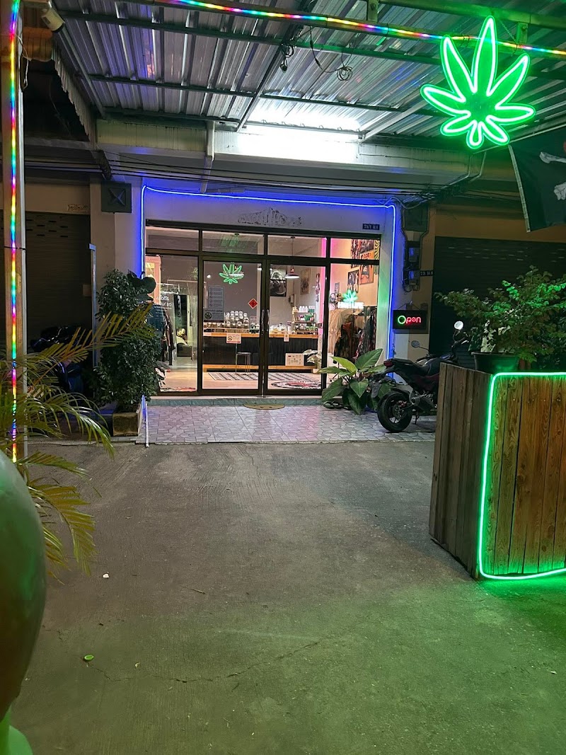 ร้านกัญชา 25Hrs. Weed Dispensary ชลบุรี
