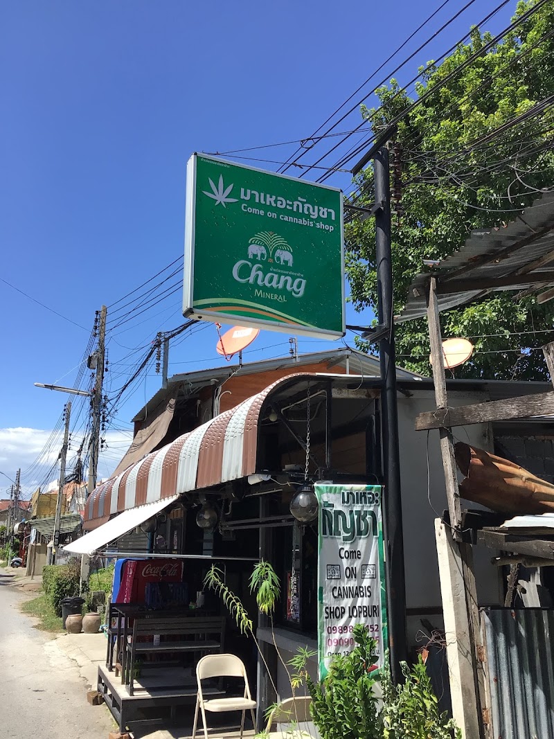 มาเหอะกัญชา2ComeOnCannabis2 ได้คะแนนสูงสุด