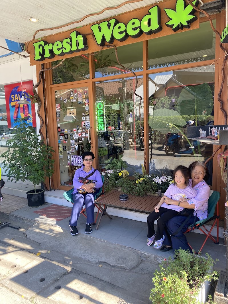 2Morrow Fresh Weed PAI Store (Cannabis Shop)