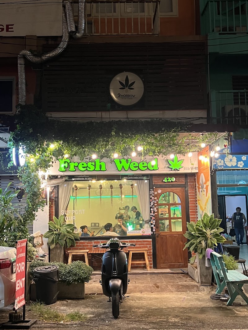 2Morrow Fresh Weed Store (Cannabis Shop) 2Morrow Fresh Weed Store (Cannabis Shop)
