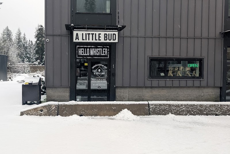 A Little Bud Cannabis Whistler - Same Day Weed Delivery A Little Bud Cannabis Whistler - Same Day Weed Delivery