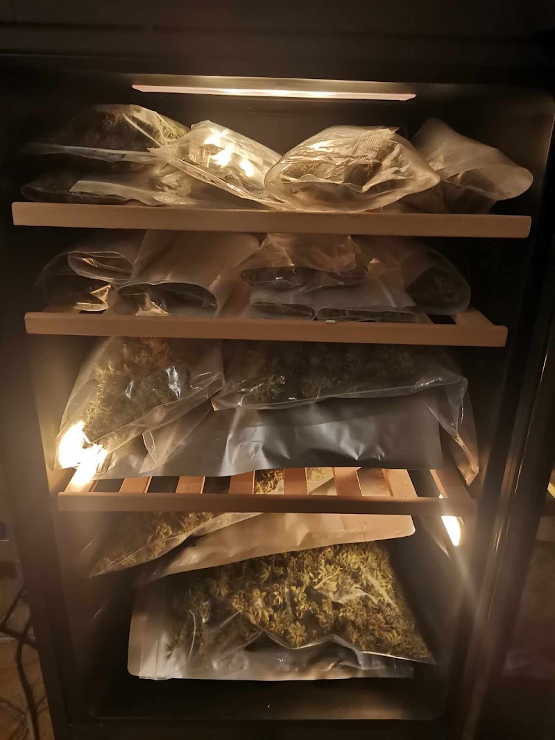 A+555 Cannabis Shop