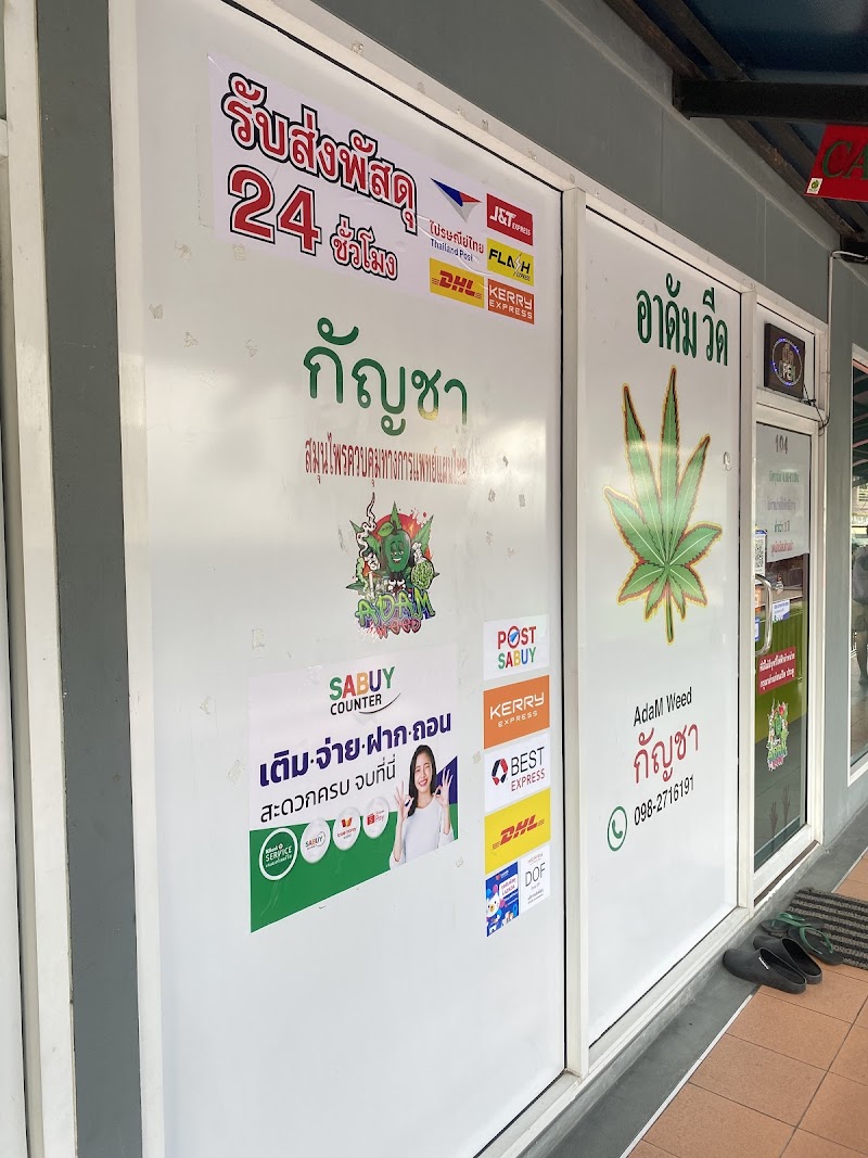 ร้านกัญชา อาดัม วีด ADAM WEED