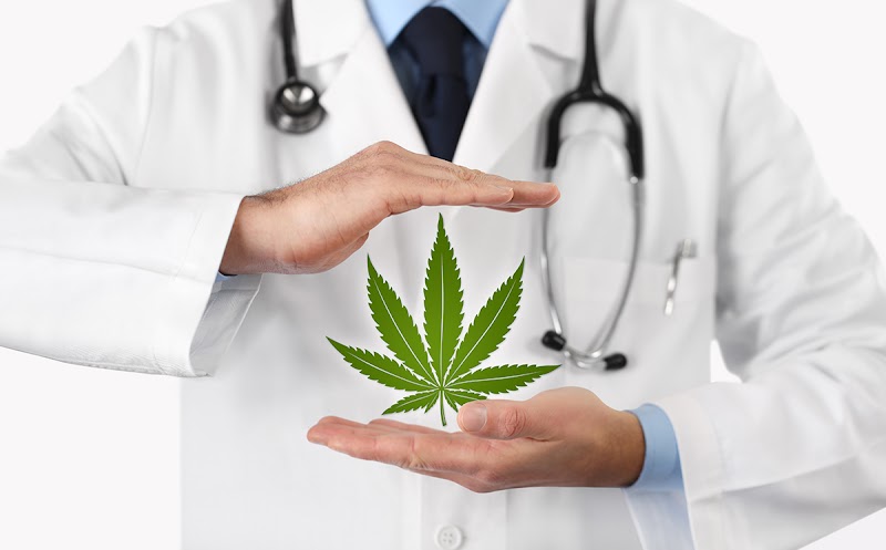 All Natural MD South Tampa - Medical Marijuana Doctors, Cards, Clinics, Renewals