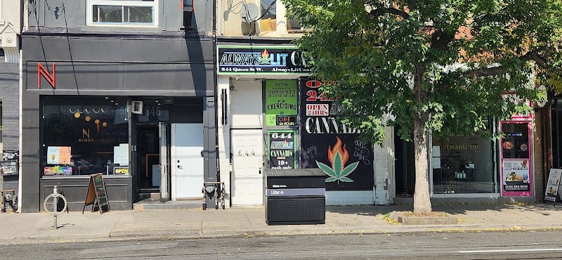 Always Lit Cannabis