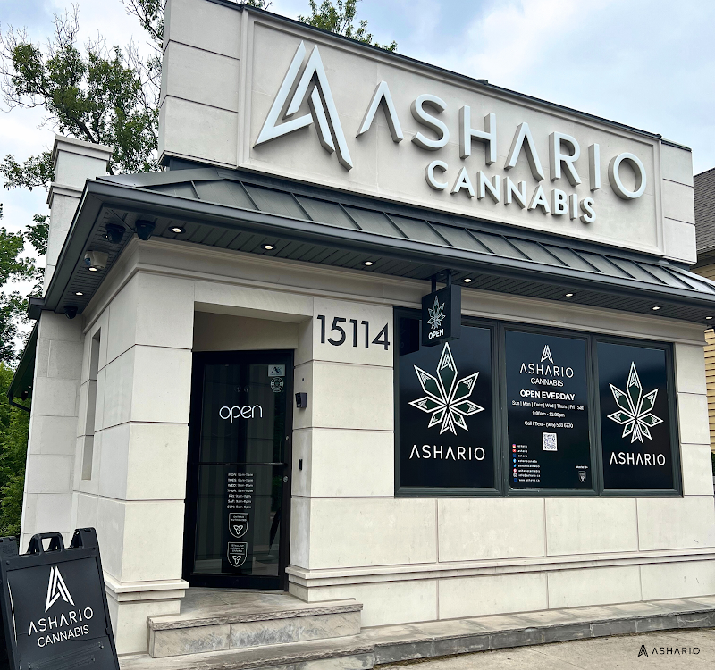 Ashario Cannabis – Aurora Ashario Cannabis – Aurora