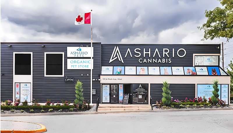 Ashario Cannabis – North York (Finch) Ashario Cannabis – North York (Finch)