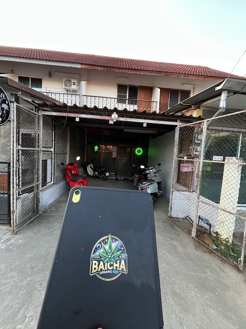 Baicha Organic 420