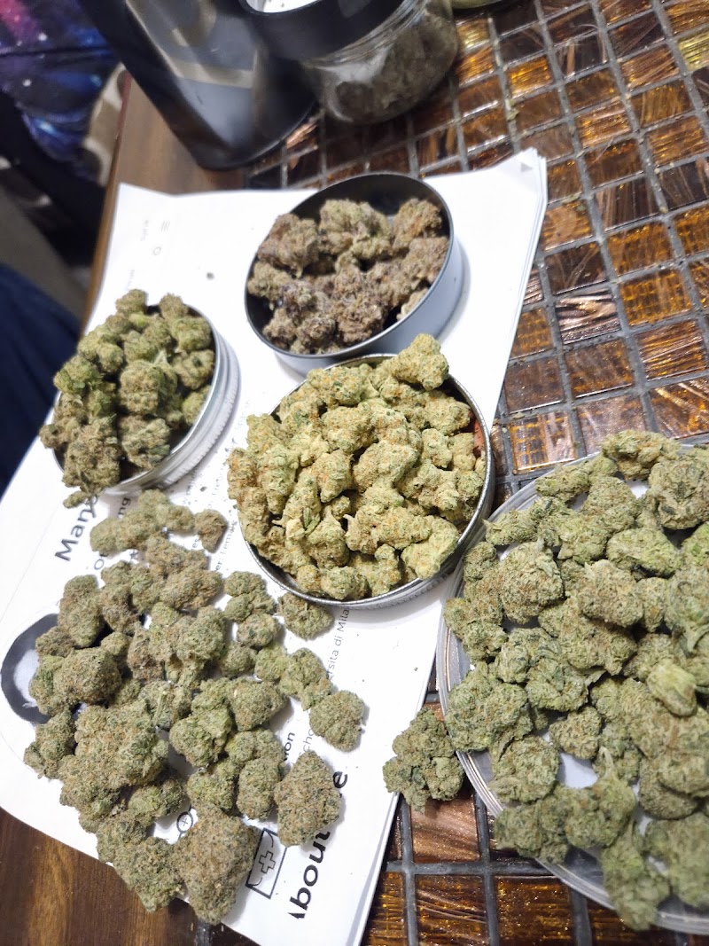 Batman's Cannabis Compendium - NO MED CARD NECESSARY!(cannabis & hemp information only!!)