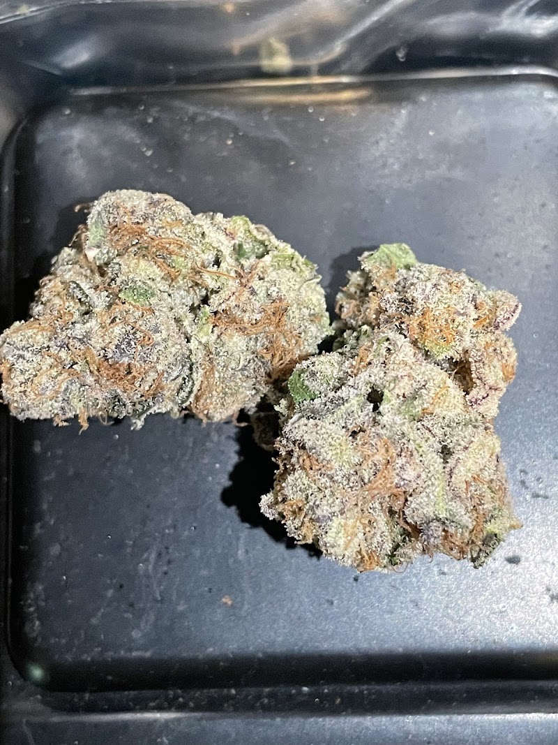 Best Budz