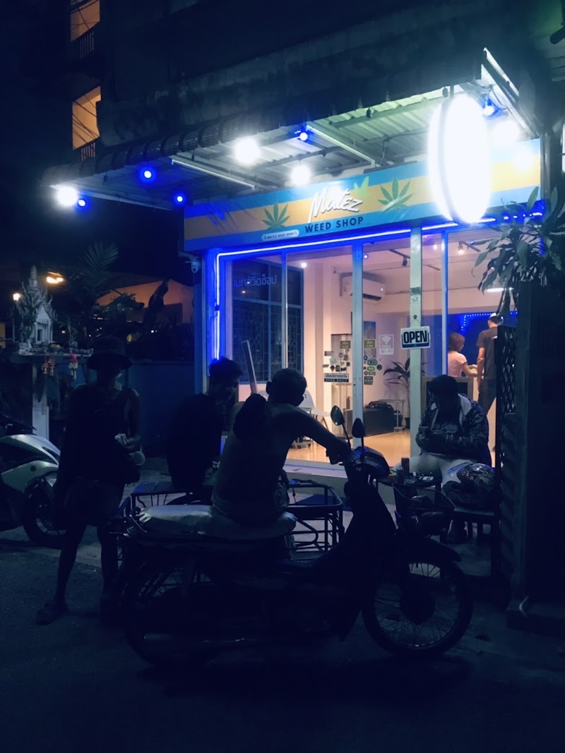 BEST WEED SHOP in Chiang mai - Matez weed shop#1 大麻 กัญชา