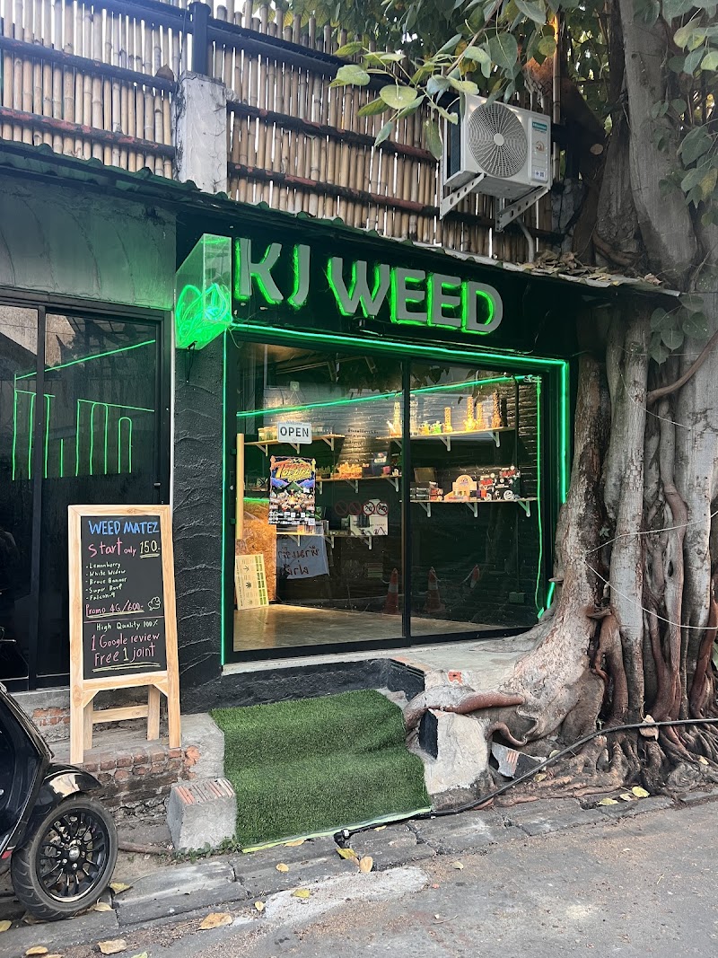 BEST WEED SHOP in Chiang mai - Matez weed shop#2 大麻 กัญชา