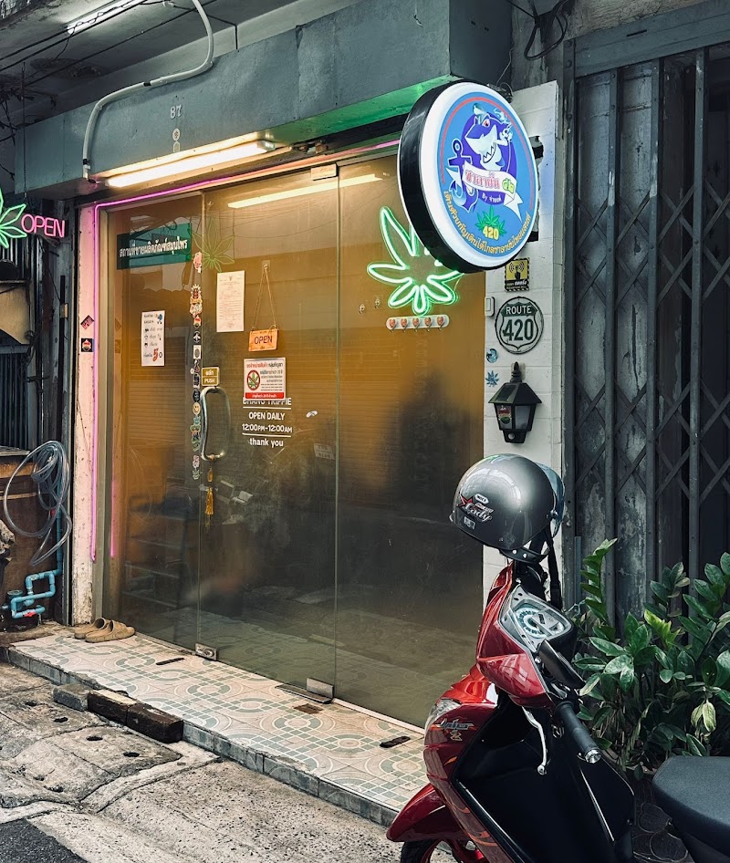 Bhang Trippie Cannabis silom