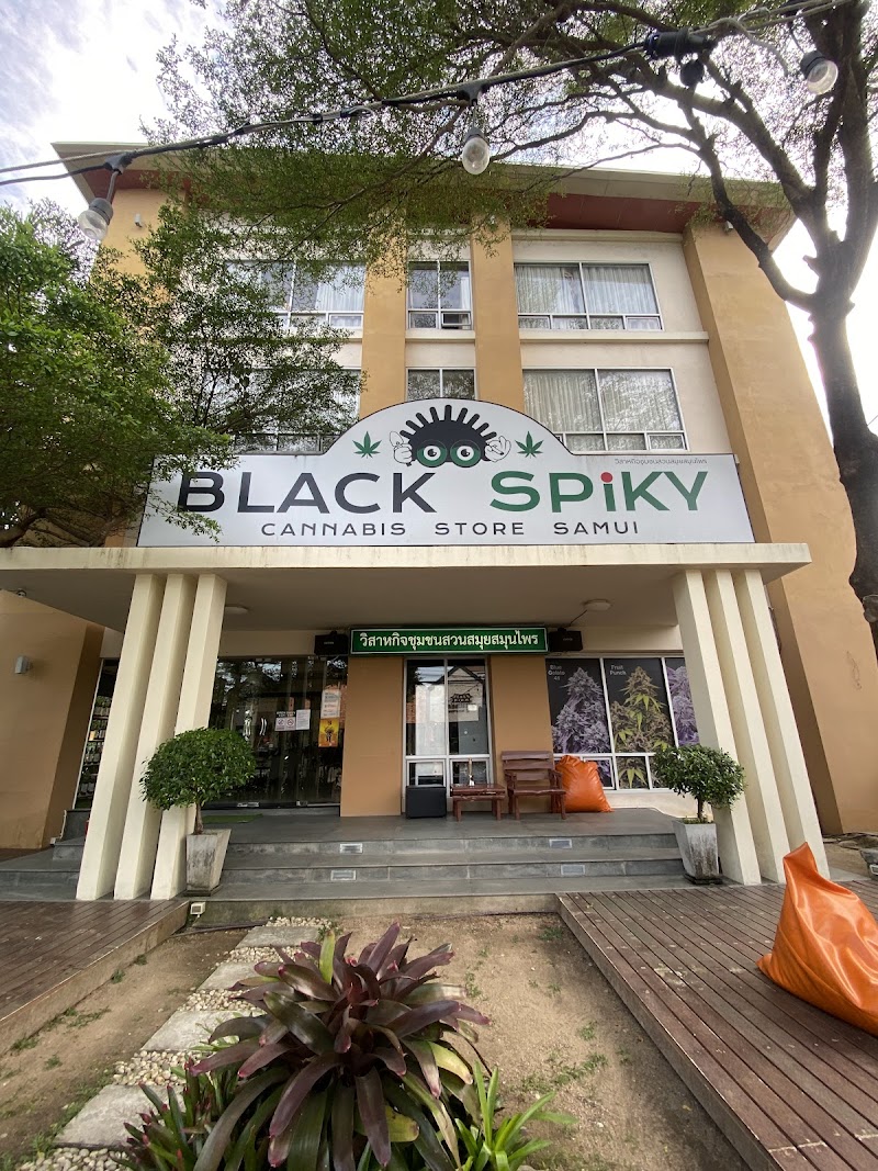 Black Spiky Weed Shop