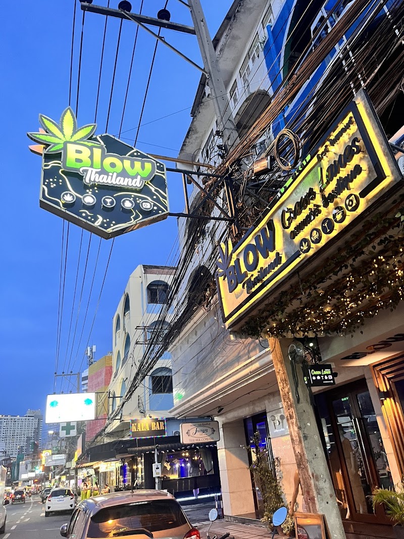 Blow Thailand Green Lanes Cannabis Boutique