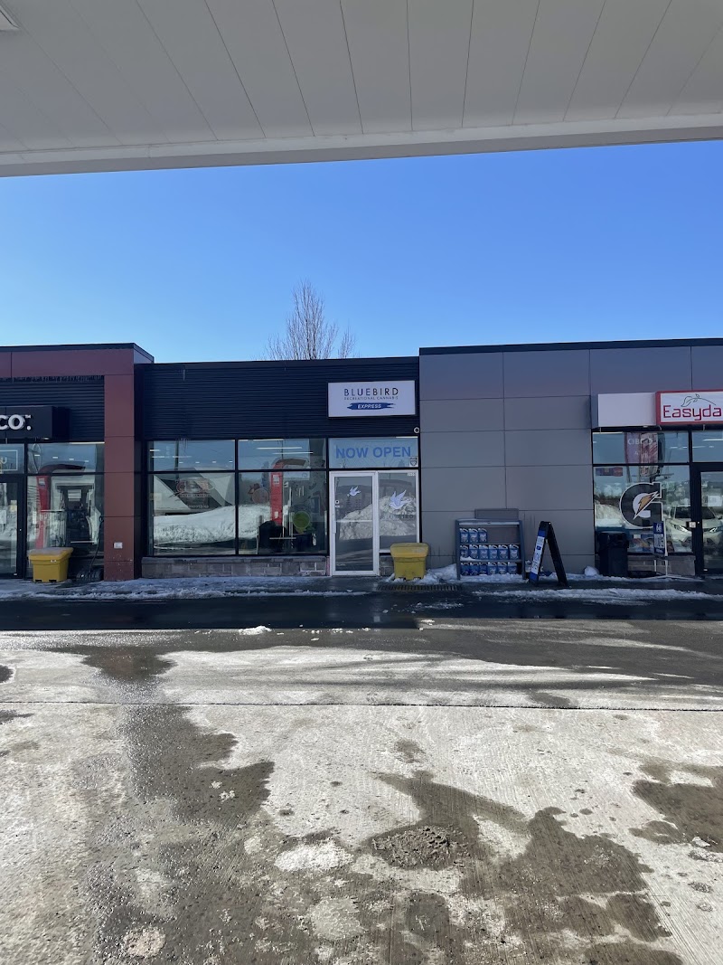 BlueBird Cannabis Huntclub & Hawthorne | Ottawa Cannabis Store BlueBird Cannabis Huntclub & Hawthorne | Ottawa Cannabis Store