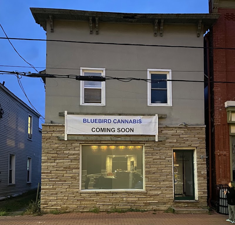 BlueBird Cannabis Winchester | Premium Recreational Cannabis BlueBird Cannabis Winchester | Premium Recreational Cannabis