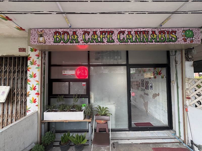 Boa Cafe Cannabis Boa Cafe Cannabis