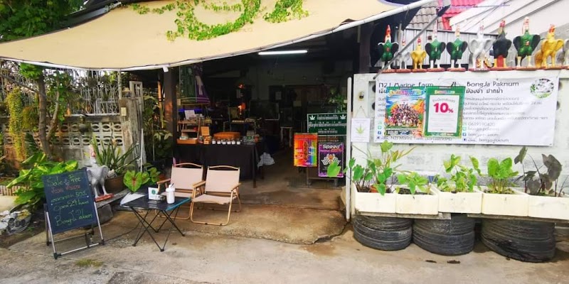 bongja paknam bongja paknam