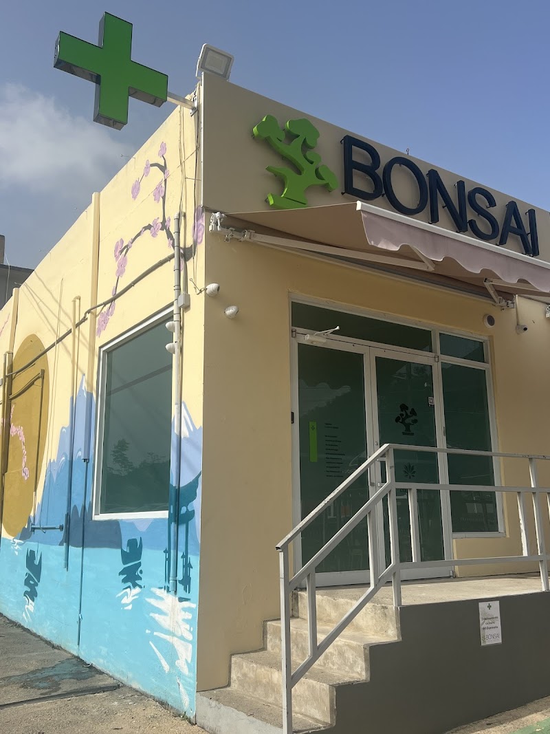 Bonsai Cannabis Collection