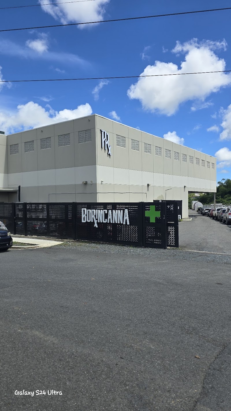 Borincanna INC Borincanna INC