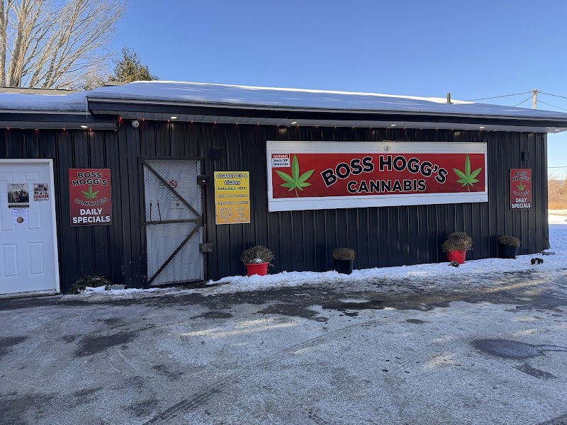 Boss Hogg’s Cannabis Boss Hogg’s Cannabis
