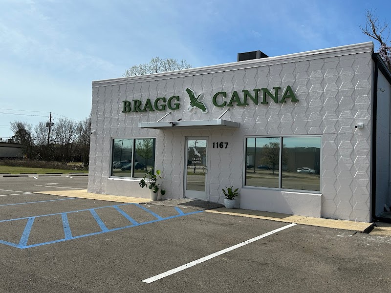 Bragg Canna (Tupelo) Bragg Canna (Tupelo)