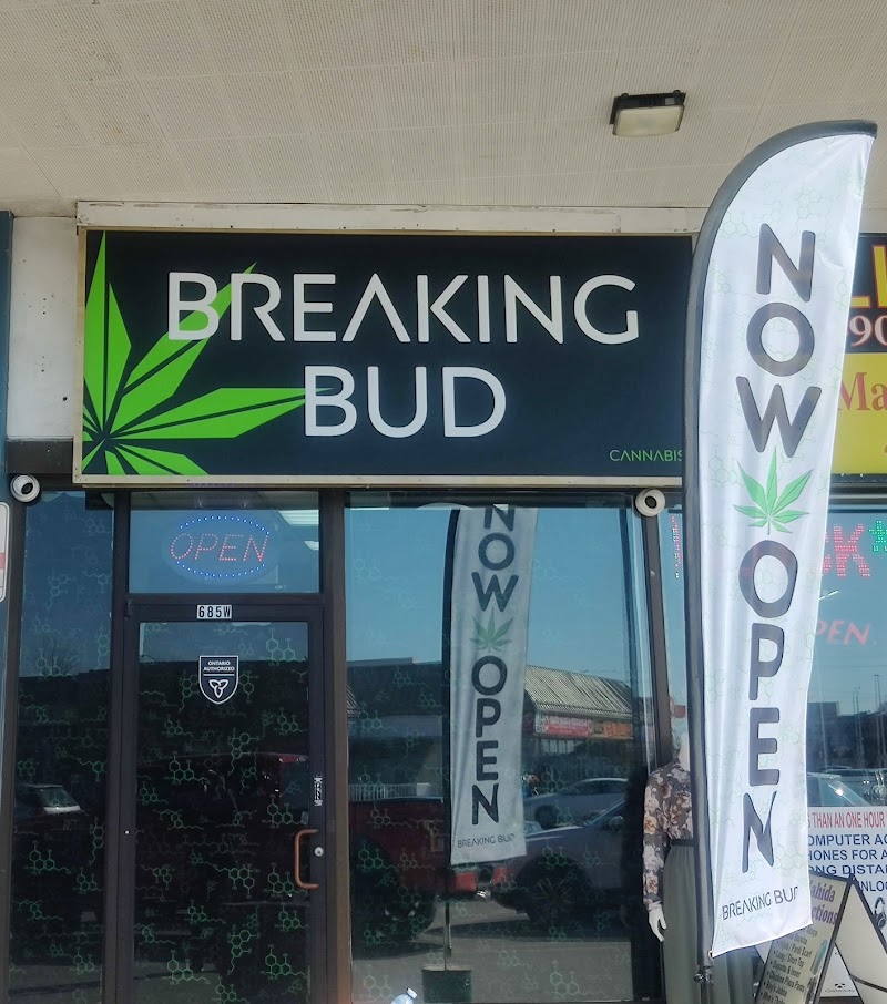 Breaking Bud Cannabis Breaking Bud Cannabis