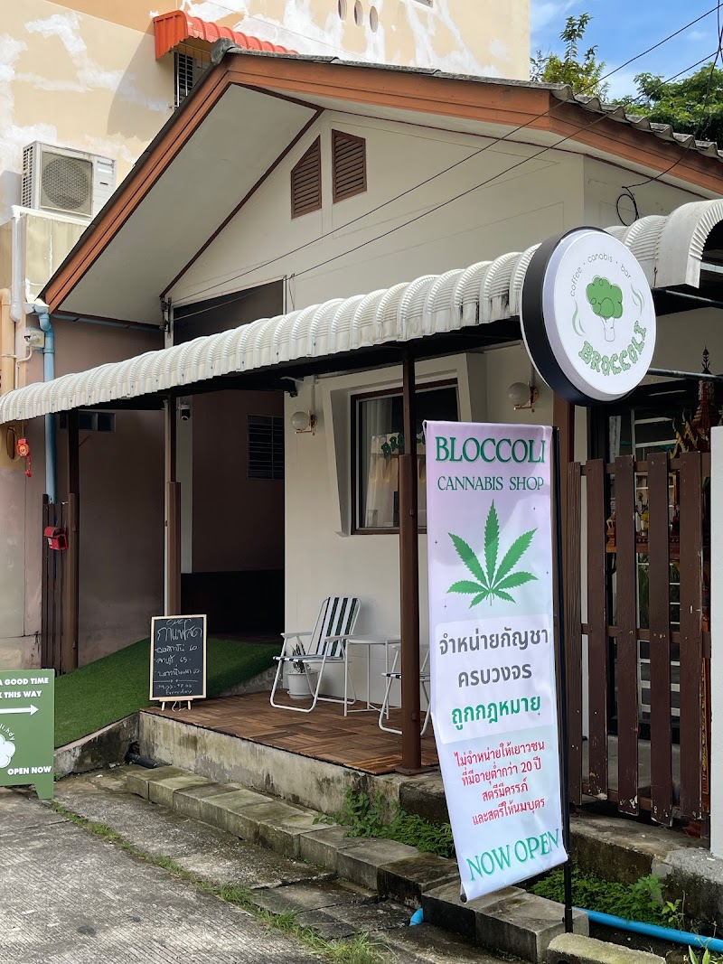 Broccoli.hdy (canna cafe hatyai) Broccoli.hdy (canna cafe hatyai)