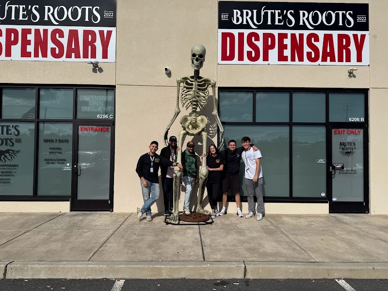 Brute's Roots