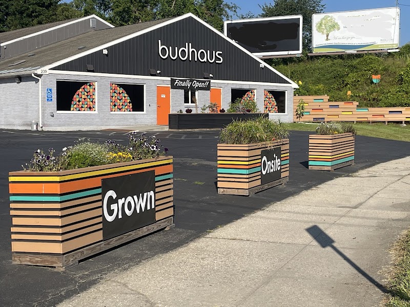 Budhaus Cannabis Store