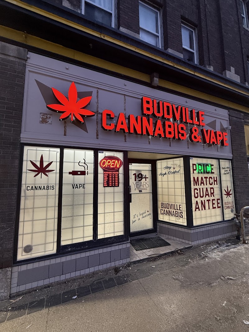 Budville Cannabis and Vape Store (Weed Store) - Sargent