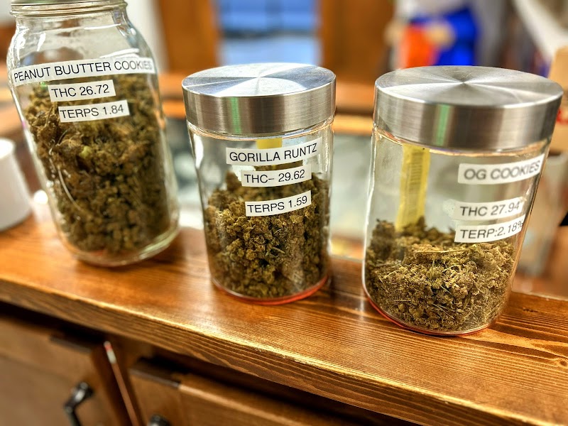 Burns Cannabis Experience