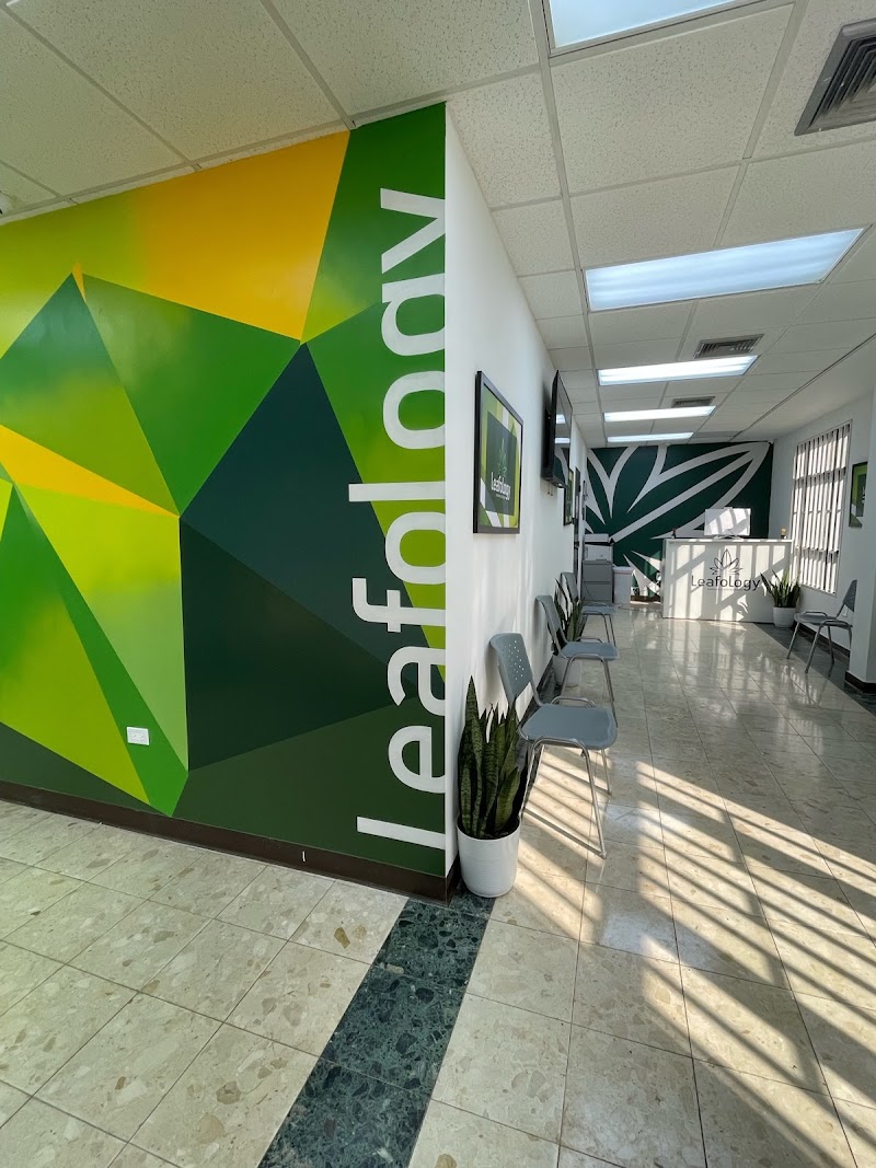 Bwell Cannabis Dispensary Arecibo Bwell Cannabis Dispensary Arecibo