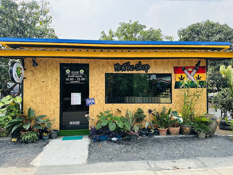 กัญชารังสิต cafe Cannabis & RangsitCannabis Mr.THC Shop & 大麻 & マリファナ กัญชารังสิต cafe Cannabis & RangsitCannabis Mr.THC Shop & 大麻 & マリファナ
