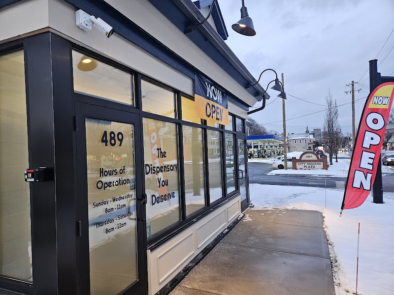 Cannabicity Albany