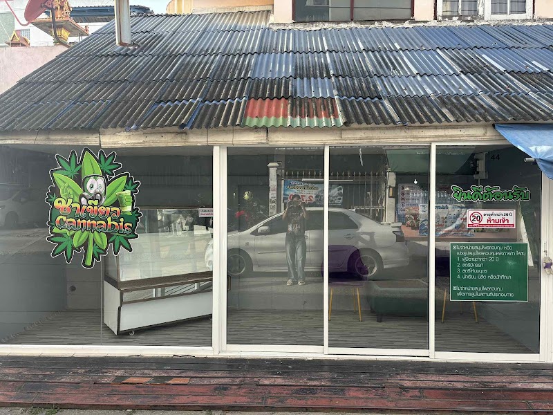 ชาเขียว cannabis