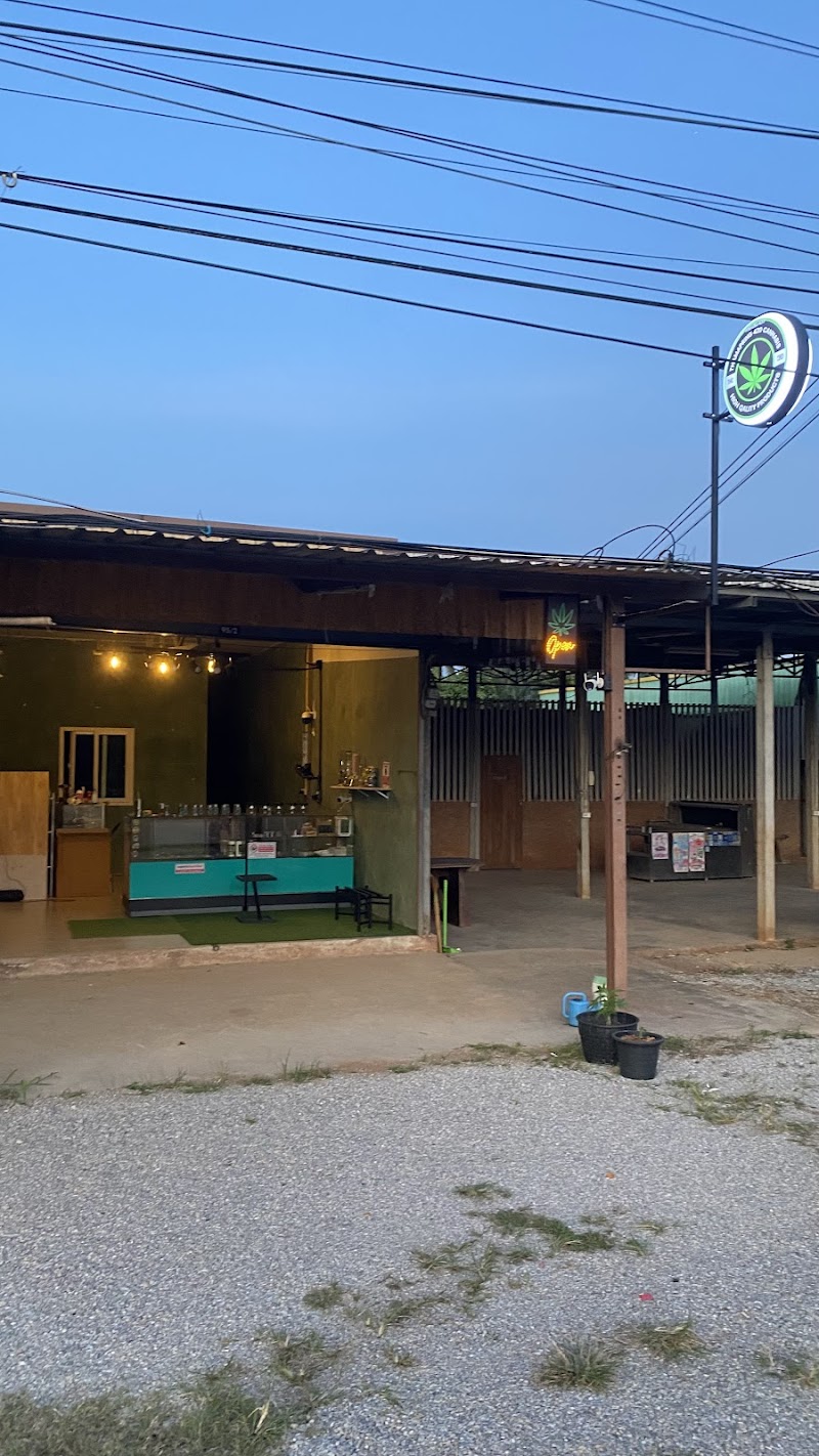 ร้านกัญชาท่ามะปริงCannabis