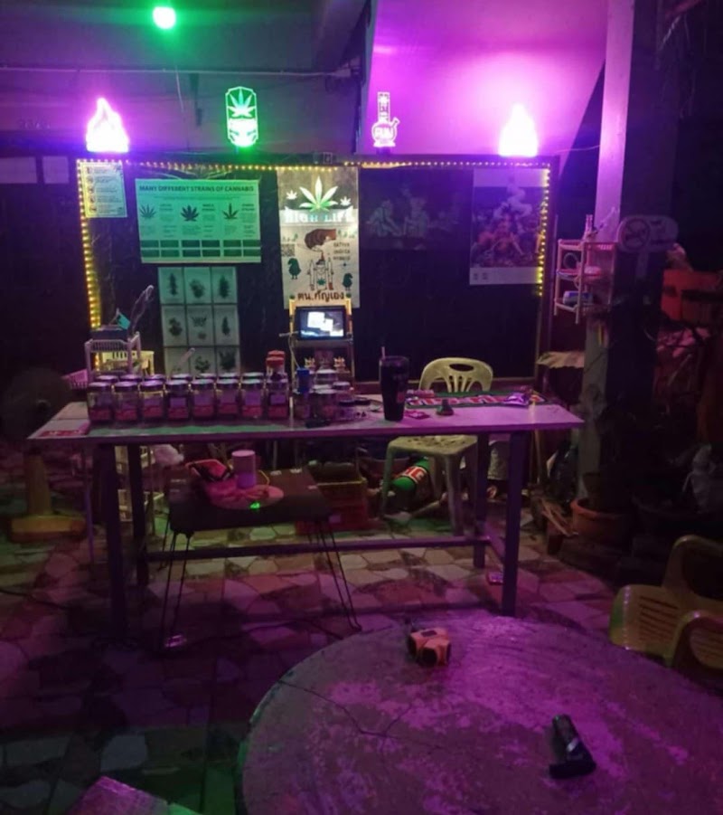 ตนกัญเอง CannaBis ตนกัญเอง CannaBis