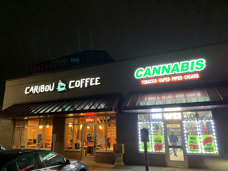 CANNABIS 42nd SHOP CANNABIS 42nd SHOP