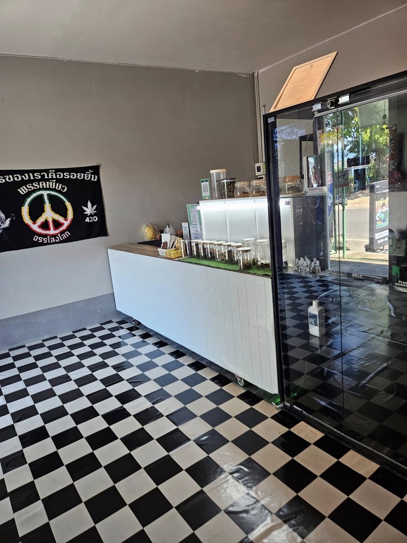 เติมกัญ cannabis เติมกัญ cannabis