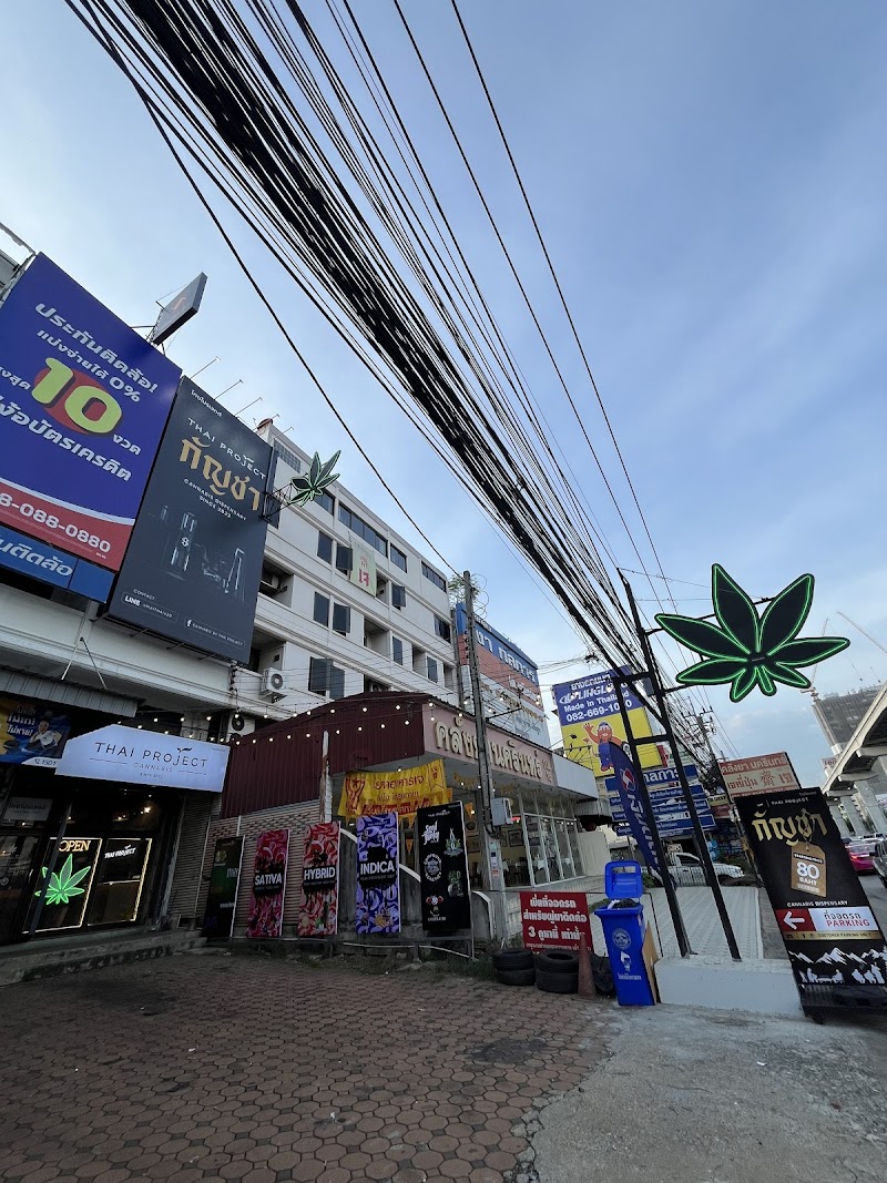 Cannabis by Thai Project @Srinakarin Dispensary Cannabis by Thai Project @Srinakarin Dispensary