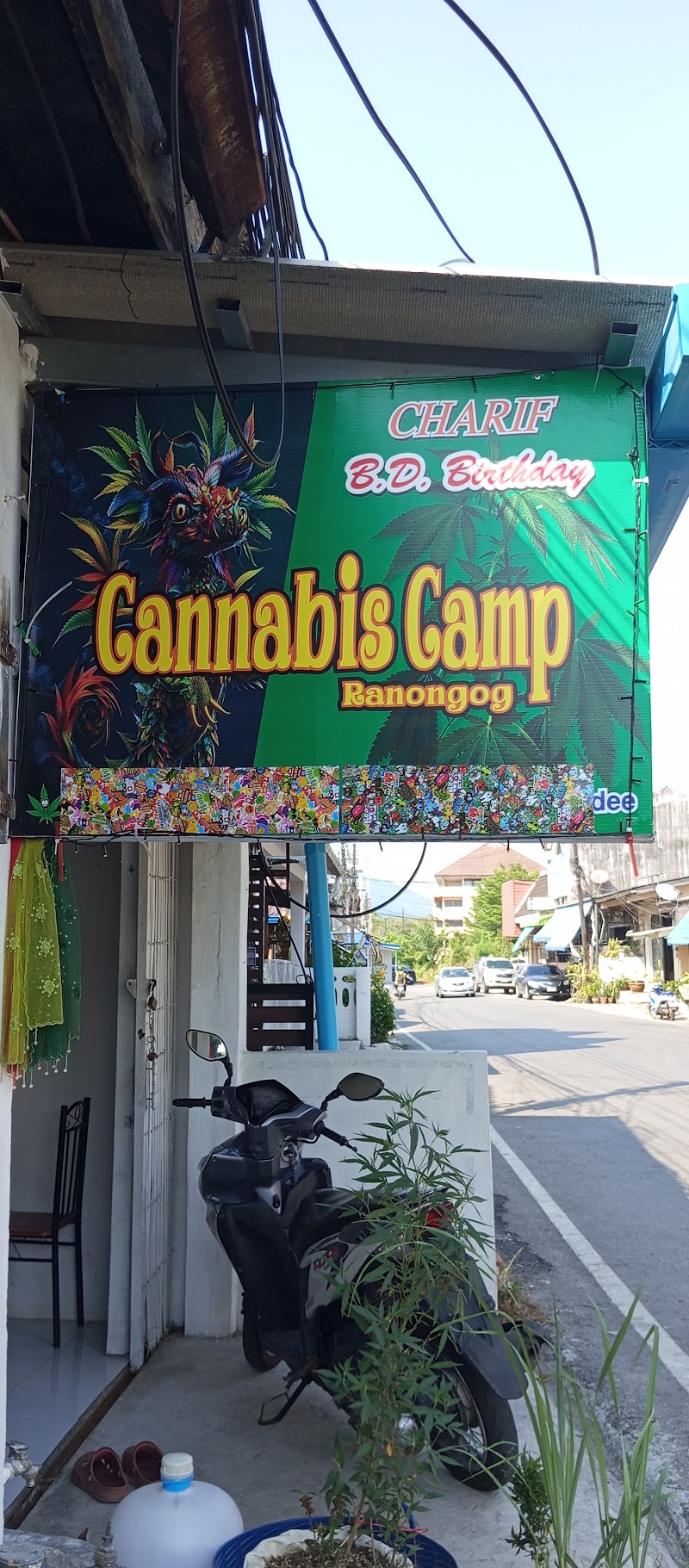 Cannabis Camp Ranong og (BD SHOP)ร้านกัญชา Cannabis Camp Ranong og (BD SHOP)ร้านกัญชา