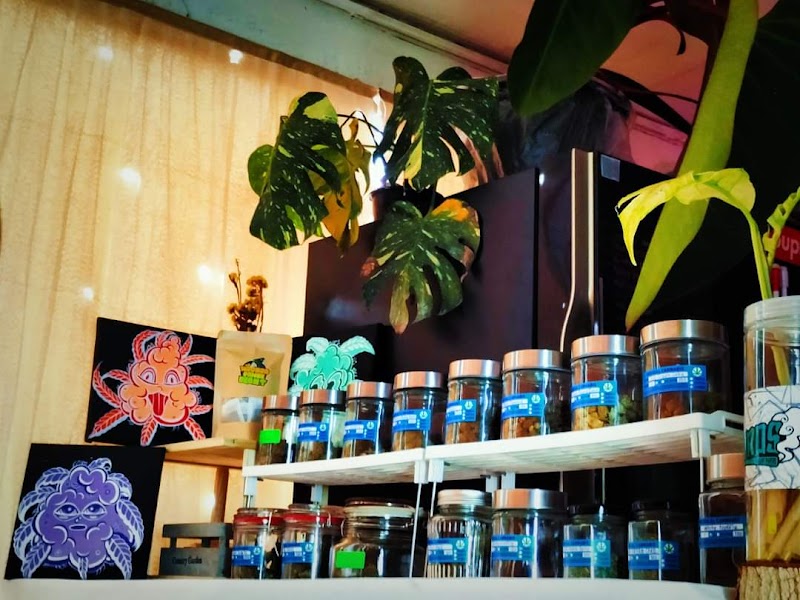 กัญชานครชัยศรี Cannabis Highart