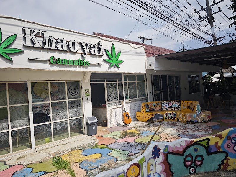 cannabis khaoyai pakchong cannabis khaoyai pakchong