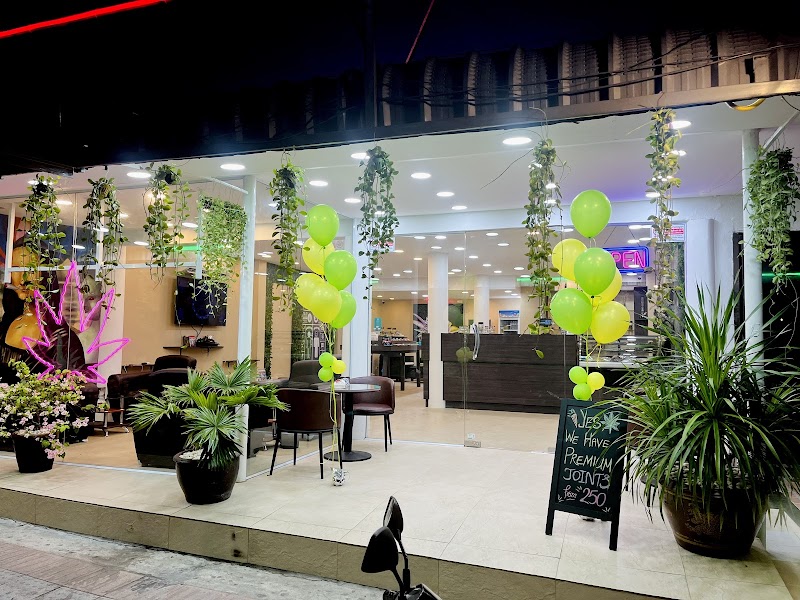 Cannabis Kingdom Chaweng Cannabis Kingdom Chaweng