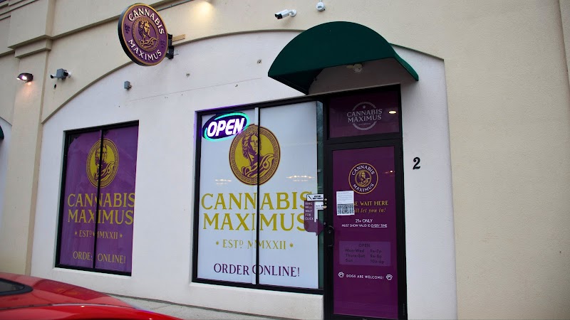 Cannabis Maximus Cannabis Maximus